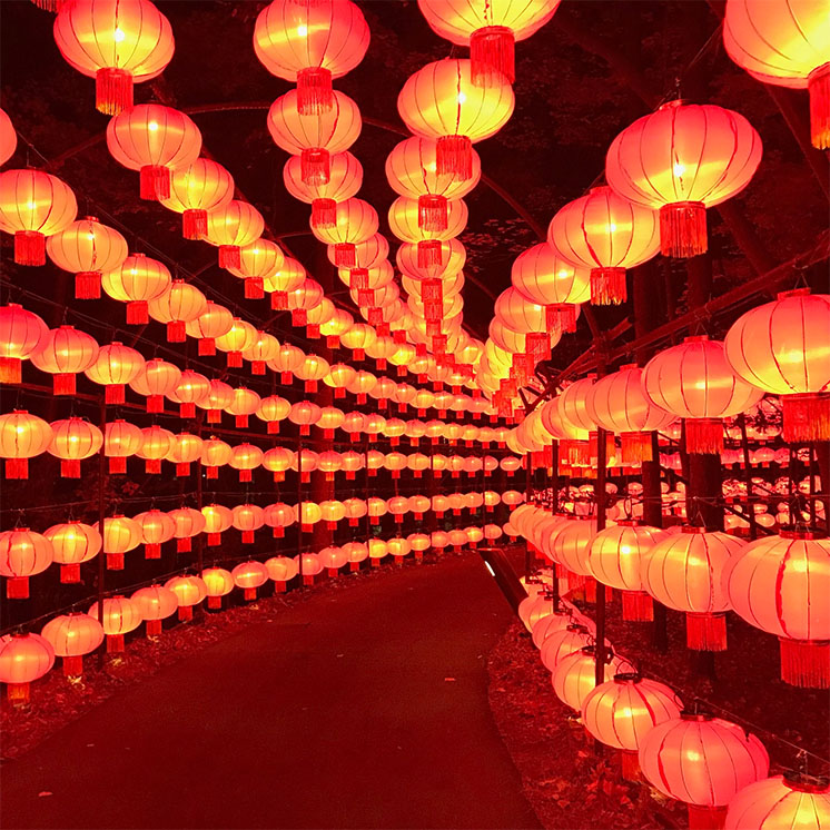 Announcement on the Spring Festival holiday, logistics suspension and post-holiday working hours