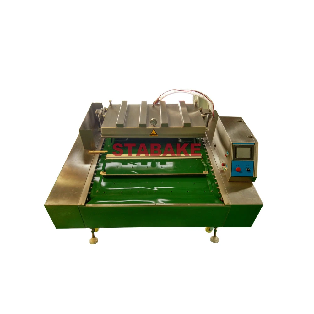 Continuous Vacuum Packaging Machine Manufacturer 1