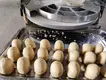 Dough Portioning Machine Dough Divider Rounder by STABAKE 6