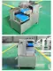Automatic Meat Cutting Machine 320mm by STABAKE 6