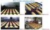 New Design Cookie Cutters Making Machine Deposit And Wire Cut Cookie Machine Snack Machine Food Processing Industry Bakery Shop 7